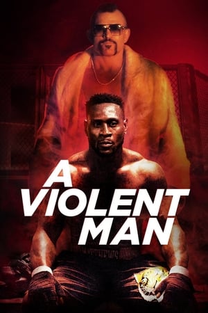 A Violent Man 2017 Hindi Dual Audio [960MB] HD Poster Download - Filmyzilla