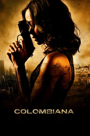 Colombiana (2011) Hindi Dual Audio 350MB HD Poster Download - Filmyzilla