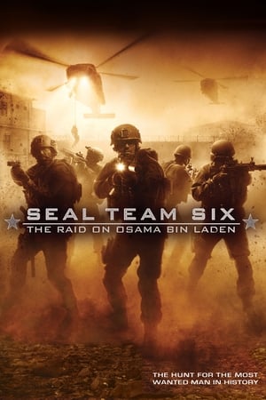 Seal Team Six: The Raid on Osama Bin Laden (2012) Hindi Dual Audio Full Movie - 1.3GB HD Poster Download - Filmyzilla