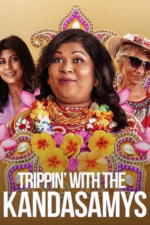 Trippin with the Kandasamys 2021 Hindi Dual Audio 300MB HD Poster Download - Filmyzilla
